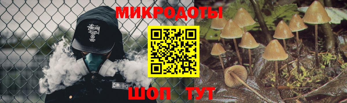 Псилоцибиновые грибы Psilocybine cubensis Россия