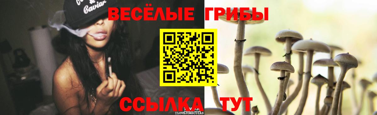 Россия  Псилоцибиновые грибы Psilocybine cubensis  Галлюциногенные грибы GOLDEN TEACHER  Вход с VPN 